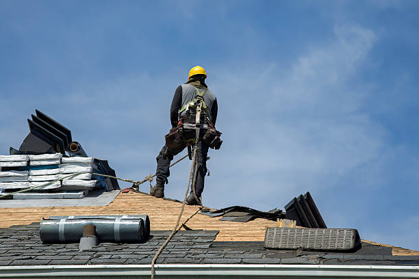 Professional Roof Replacement technician working in Lowell, FL